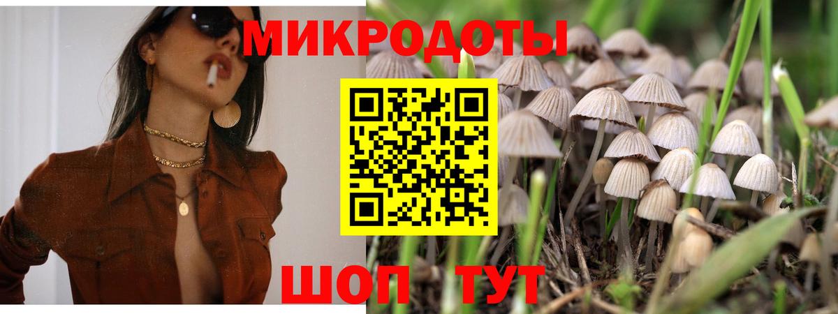 Псилоцибиновые грибы мицелий Дербент