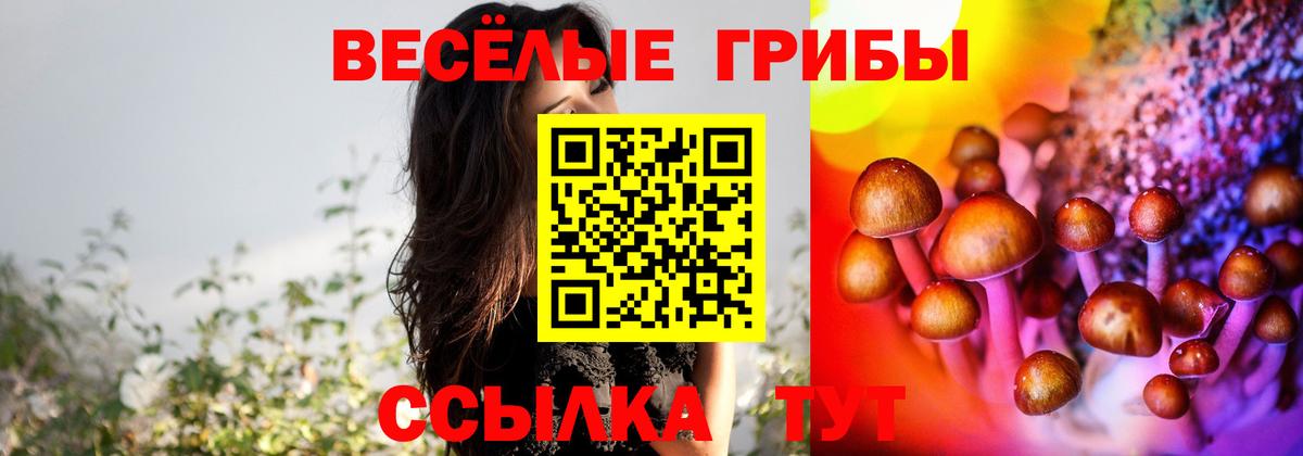 Дербент  Псилоцибиновые грибы мухоморы  Галлюциногенные грибы Psilocybine cubensis  Вход с VPN 